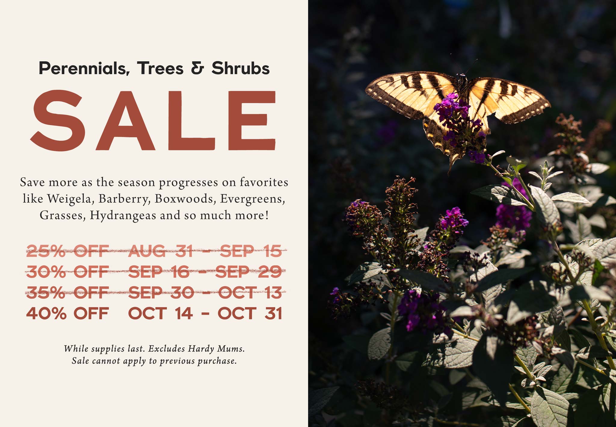 Perennials, Trees and Shrubs SALE at Hoen's Garden Center