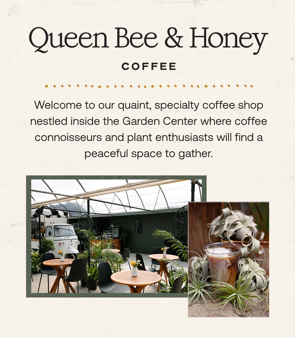 Queen Bee & Honey Coffee at Hoen's Garden Center