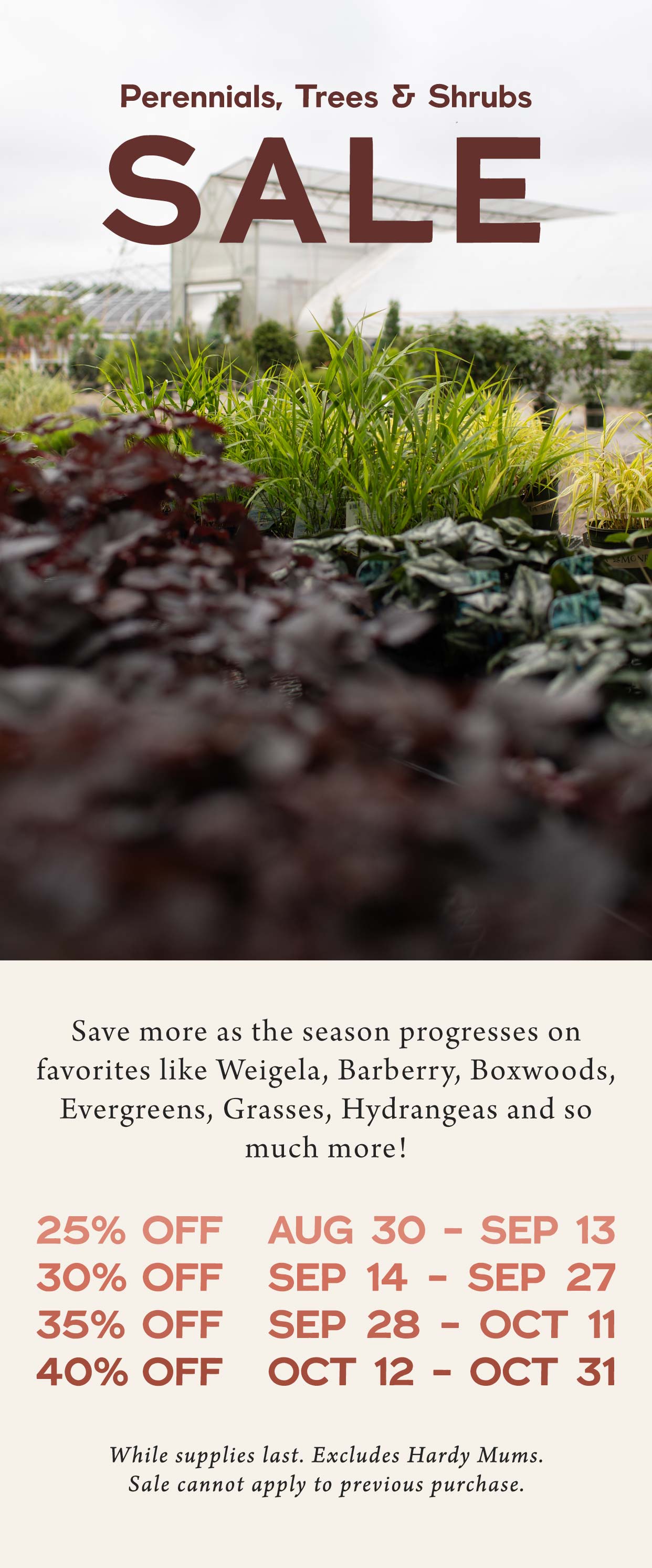 Perennials, Trees and Shrubs SALE at Hoen's Garden Center