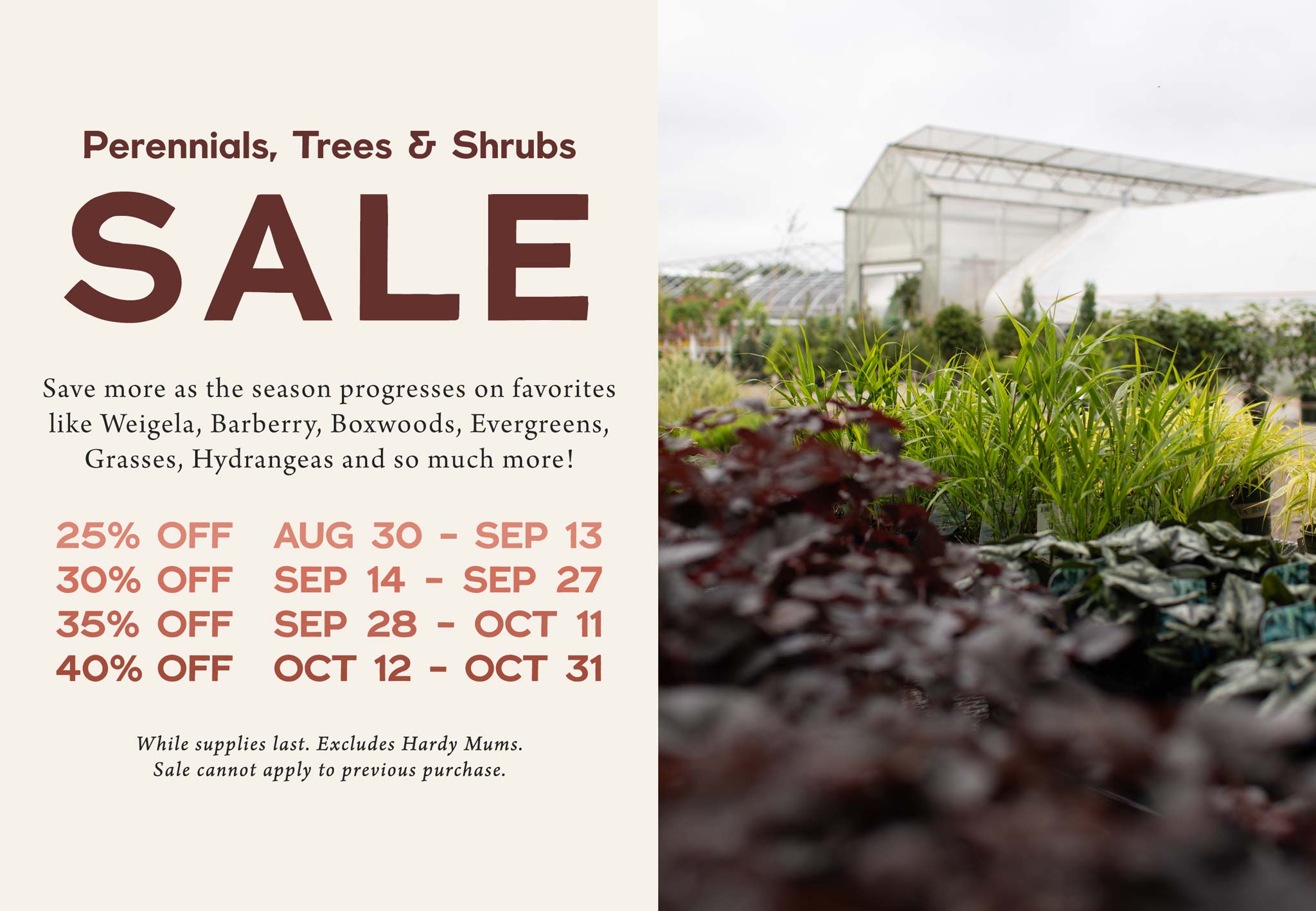 Perennials, Trees and Shrubs SALE at Hoen's Garden Center