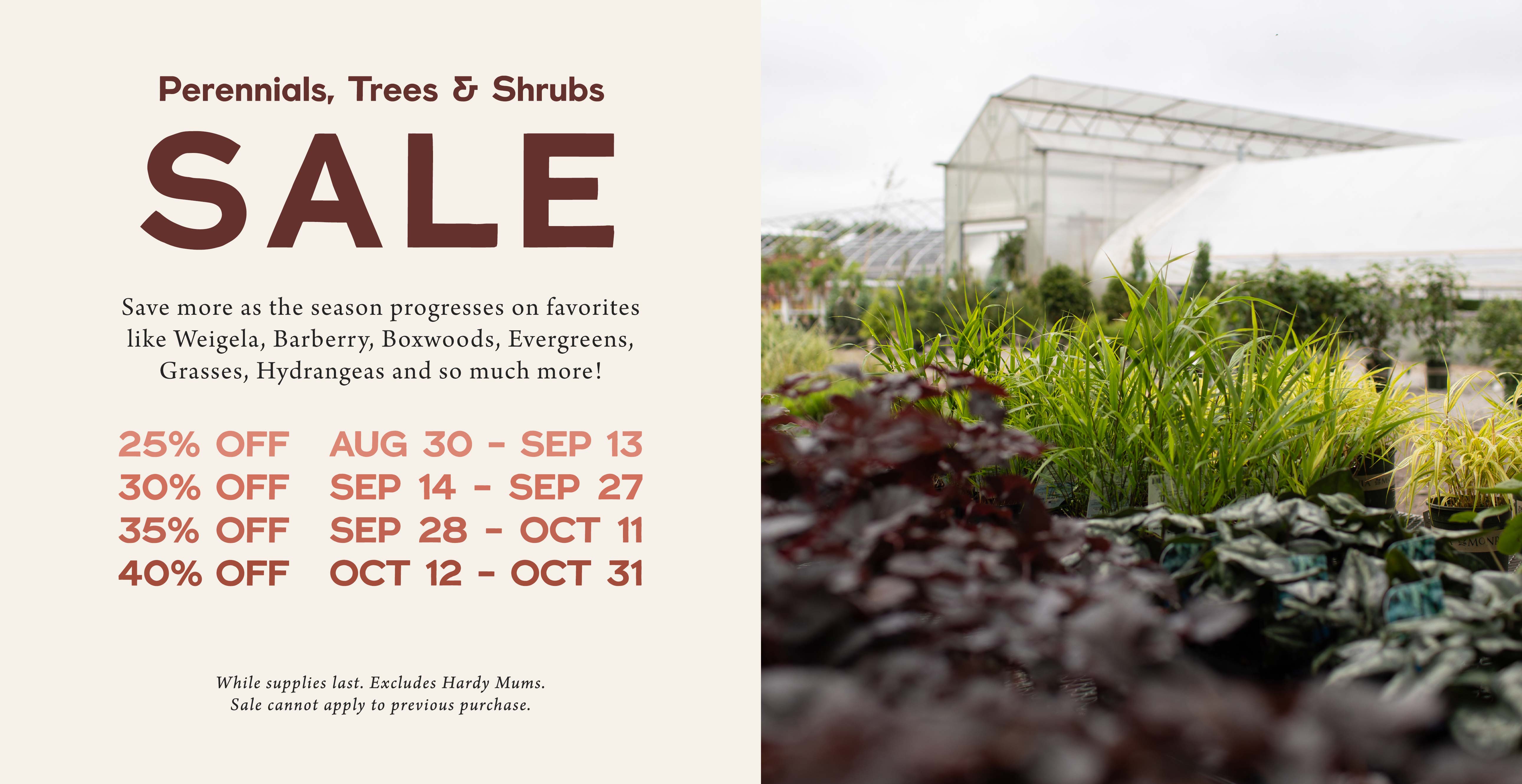 Perennials, Trees and Shrubs SALE at Hoen's Garden Center