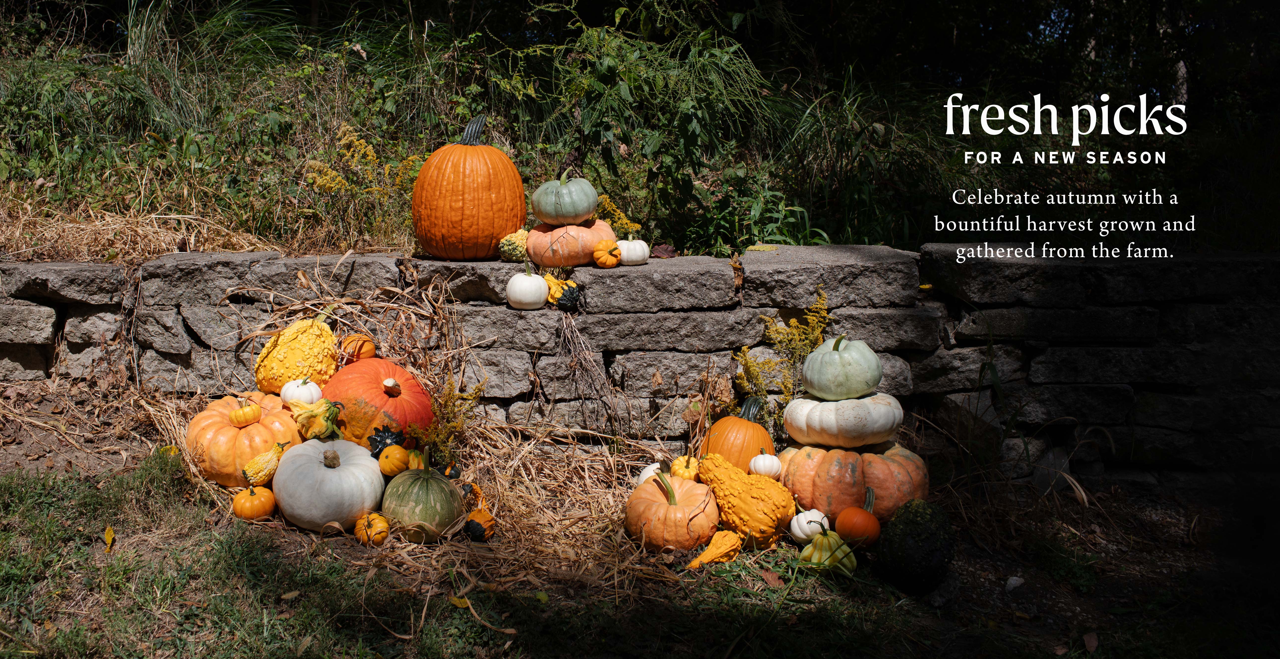Fresh Picks For A New Season at Hoen's Garden Center