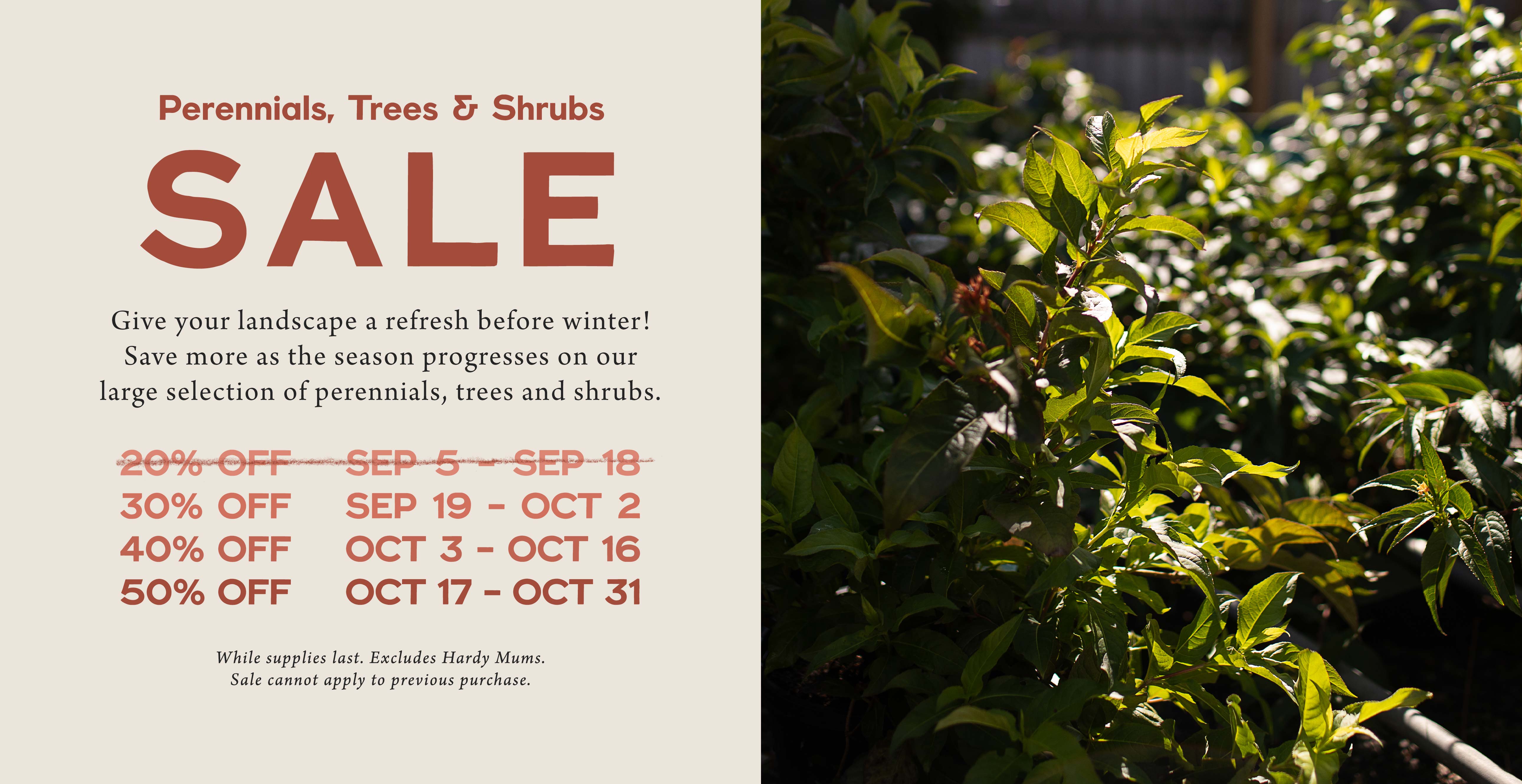 Perennials, Trees and Shrubs SALE at Hoen's Garden Center