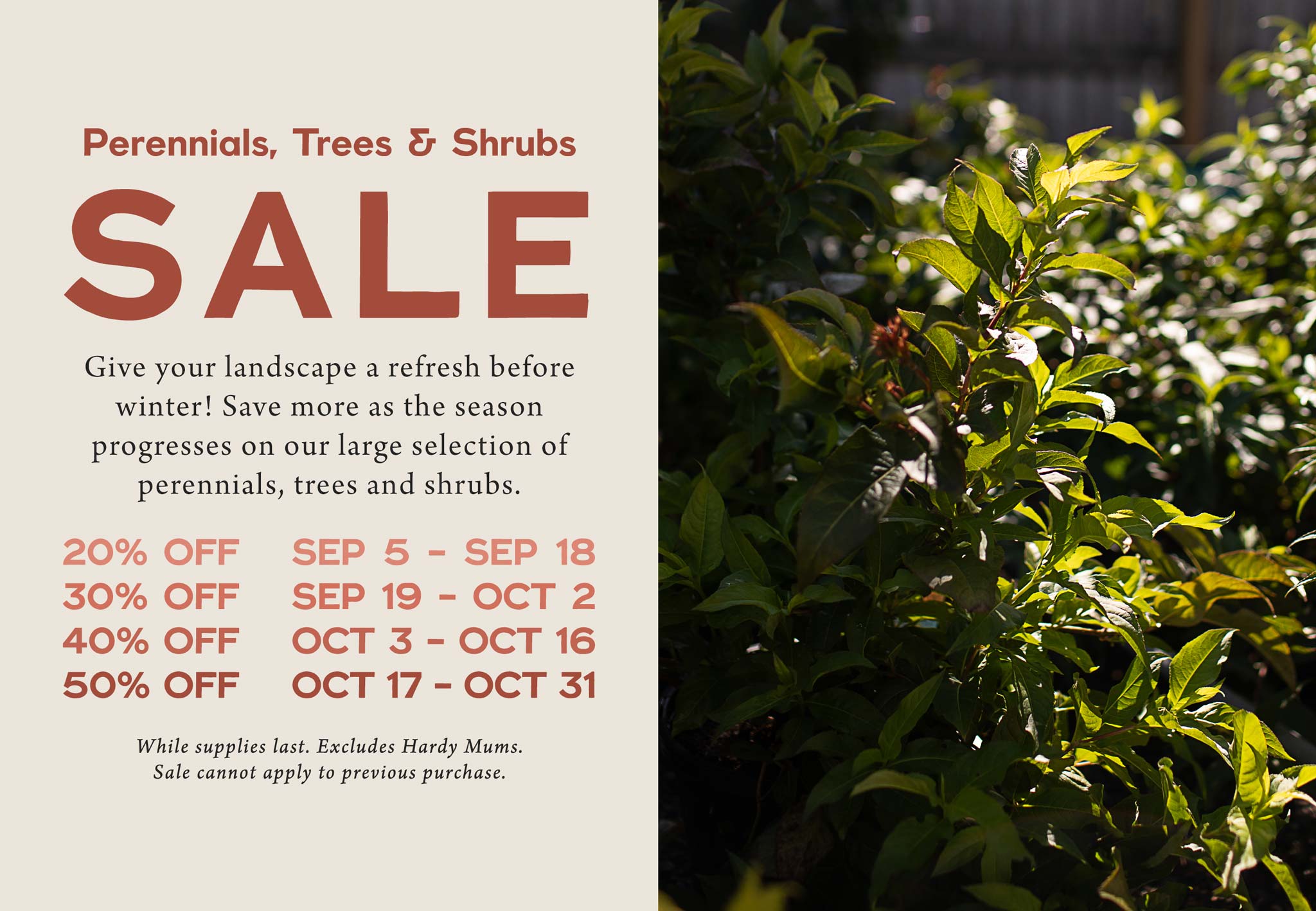 Perennials, Trees and Shrubs SALE at Hoen's Garden Center