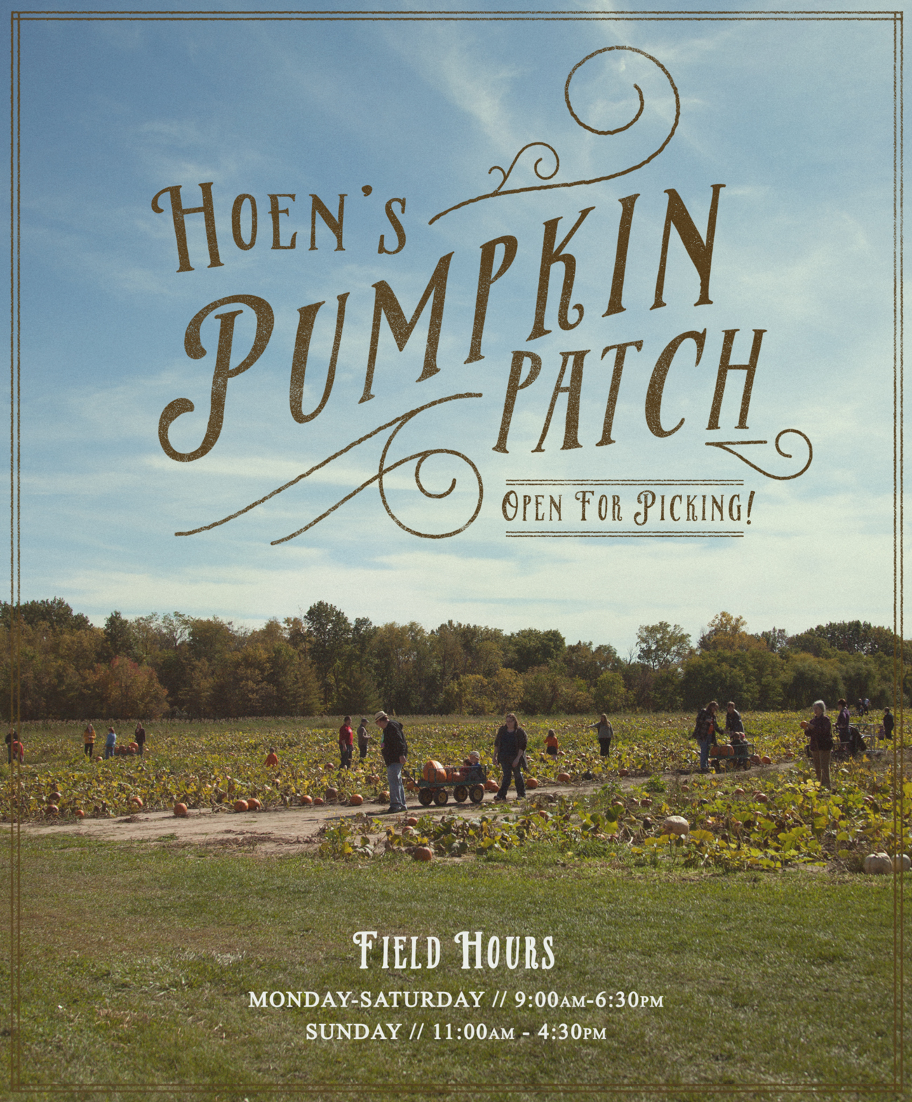 Hoen's Garden Center & Landscaping | Pick Your Own Pumpkins